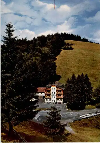 Wieden - Berghotel Wiedener Eck -169900