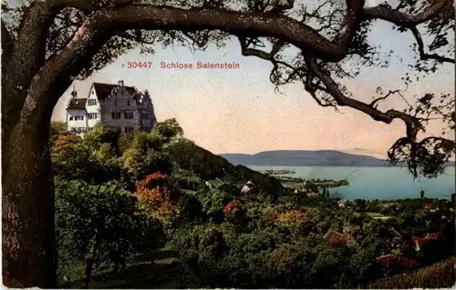 Schloss Salenstein -169188