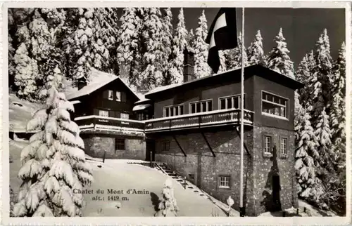 Hotel Mont d Amin -171270