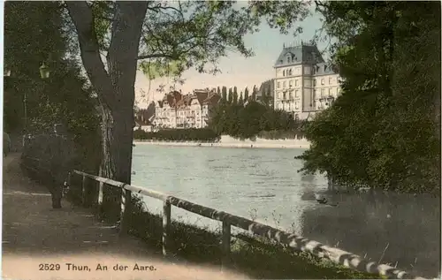 Thun - An der Aare -170130