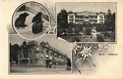 Bern - Viktoria -170606