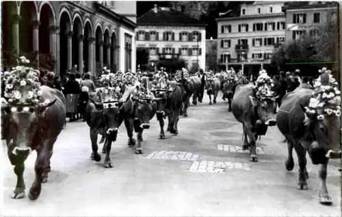 Bad Ragaz - Heimkehr von der Alp -171368