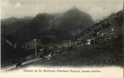 Chemin de fer Montreux - Oberland - Paysage d Allieres -171604