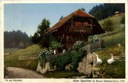 Alte Speicher im Berner Oberland -172180