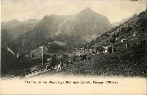 Chemin de fer Montreux Oberland Bernois - Paysage d Allieres -171554