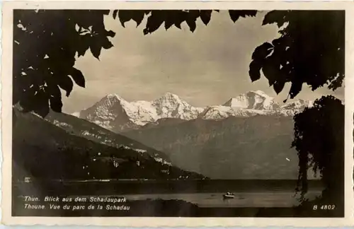 Thun - Blick aus dem Schadaupark -170114