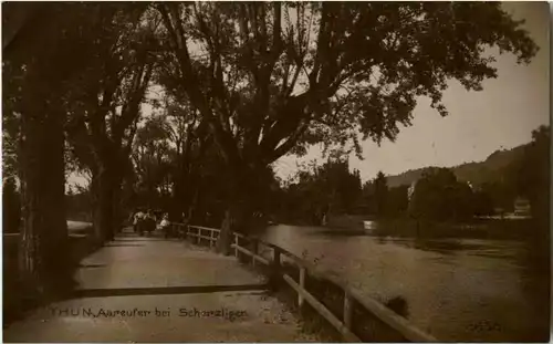 Thun - Aareufer -170182