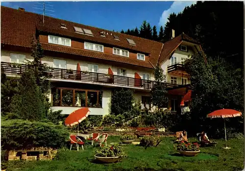 Schwarzenberg Schönmünzach - Hhotel Blitz -173306