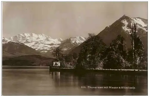 Thunersee mit Niesen und Blümlisalp -133112