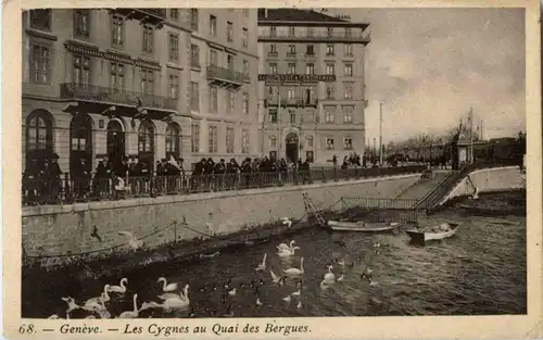 Geneve - Les Cygnes au Quai des Bergues -172842