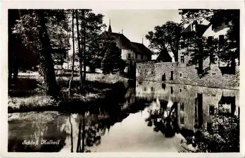 Schloss Hallwil -173696