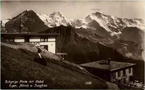 Schynige Platte mit Hotel -171832