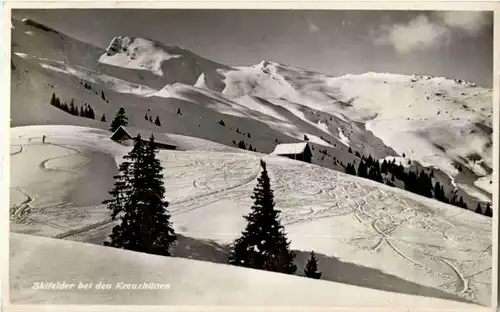 Skifelder bei den Kreuzhütten -172148