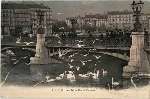 Geneve - Les Mouettes -172538