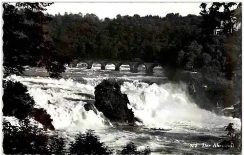 Schaffhausen - Rheinfall -174742