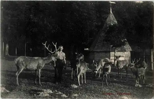 Zofingen - Hirschpark -173802