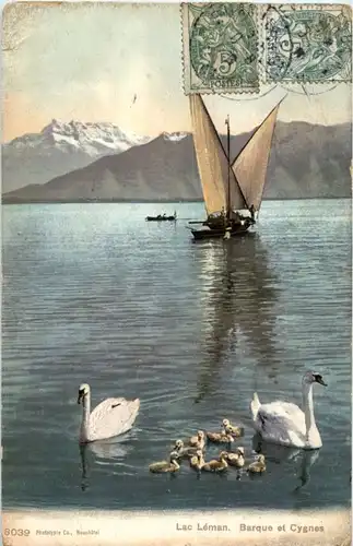 Lac Leman - Barque et Cygnes -172562