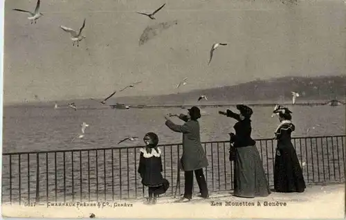 Geneve - Les Mouettes -172540