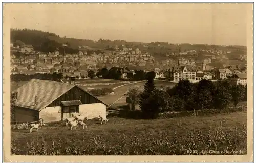 La Chaux de Fonds -175150