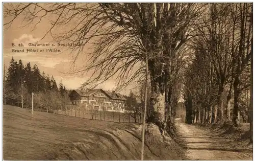 Chaumont s. Neuchatel - Grand Hotel et l Allee -175190