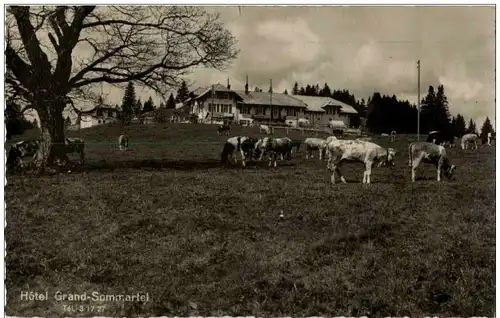 Hotel Grand Sommartel -175314