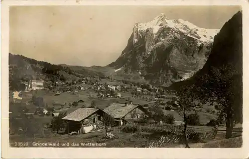 Grindelwald -172092