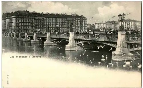 Les Mouettes a Geneve -133648
