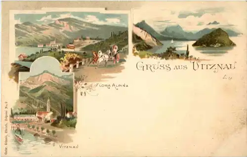 Gruss aus Vitznau - Litho -N2980