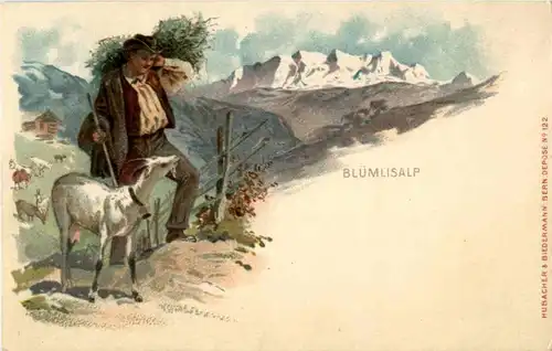 Blümlisalp - Goat Ziege -N3488