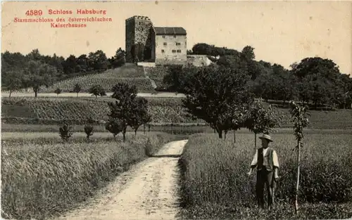Schloss Habsburg -174500