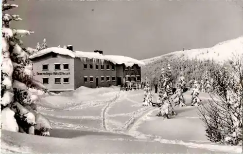 Feldberg - Emmendinger Hütte -173564