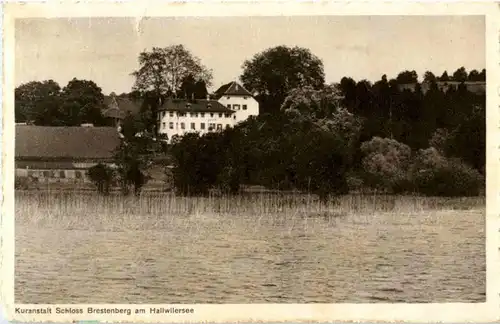 Schloss Brestenberg am Hallwilersee -174160