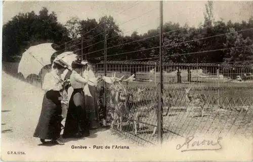 Geneve - Parc de l Ariana -172826