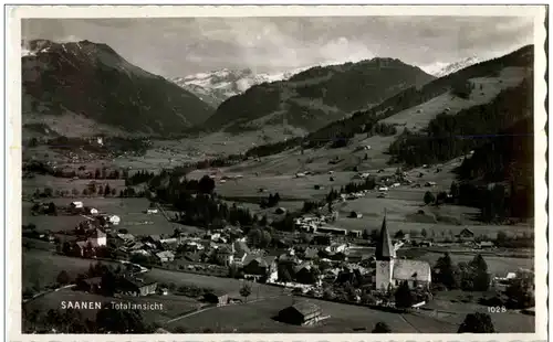 Saanen -134876