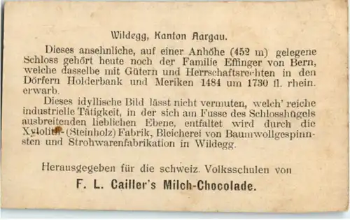 Wildegg -174538