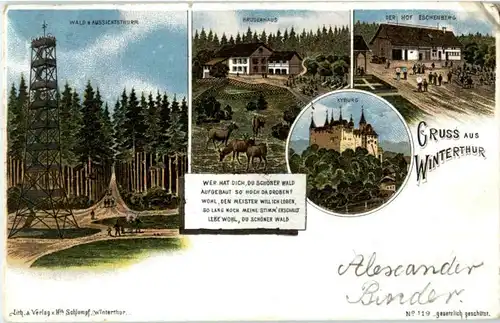 Gruss aus Winterthur - Litho -N3472