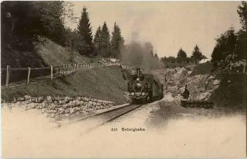 Brünig Zug -N4932