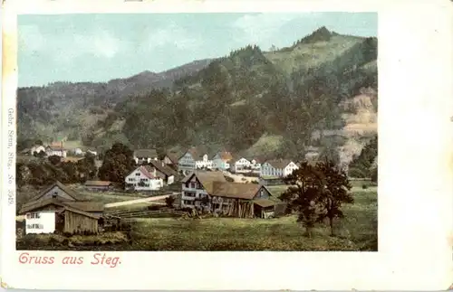 Gruss aus Steg -N4226