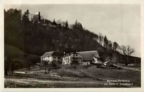 Farnsberg bei Ormalingen -N5480