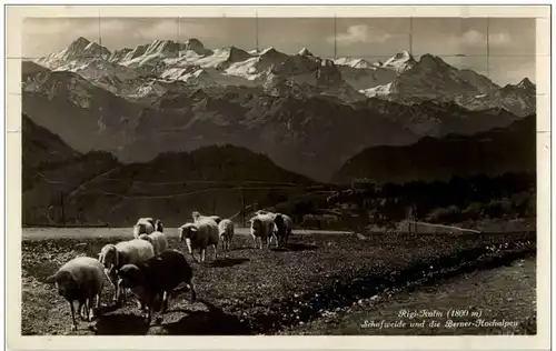 Rigi Kulm -136166