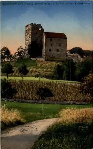 Schloss Habsburg -N6175