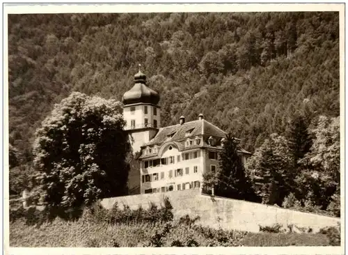 Balgach - Schloss Grünenstein -136514