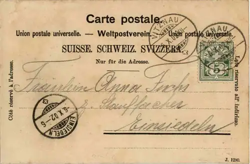 Grubisbalm am Rigiberg -N4378