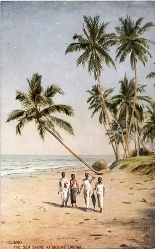 Colombo - Sea shore at Mount Lavinia -183138