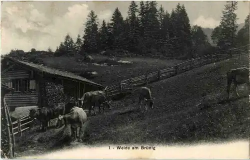 Weide am Brünig -N5246