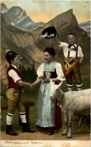 Appenzeller Tracht Ziege -N5862