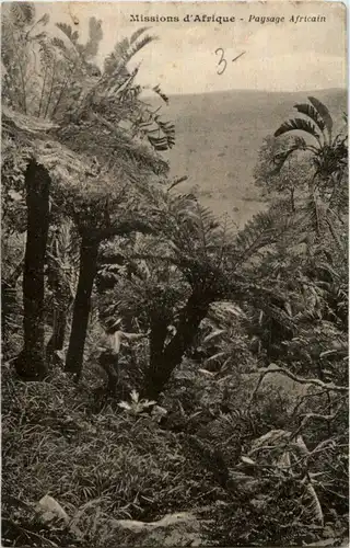 Missiond Afrique - Paysage Africain -182918