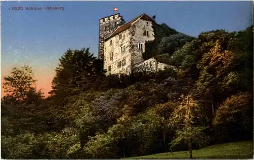 Schloss Habsburg -N6174