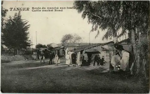 Tanger - Cattle market Road -183332