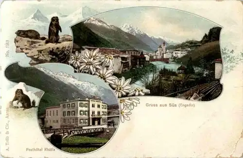 Gruss aus Süs - Murmeltier -178102